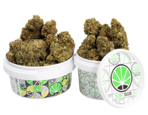 kwiaty cbd orange cbd boost w bialym pojemniku z kolorowym designem