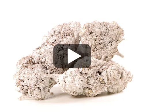 probka wideo og super boost cbd kwiat