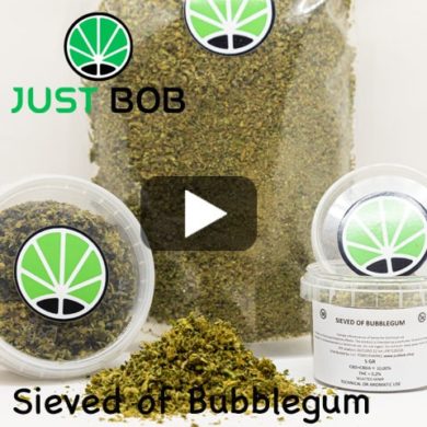 przesiany bubblegum cbd kwiat – prezentacja wideo