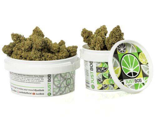 white widow cbd kwiaty w bialym zamknietym pojemniku dla zachowania swiezosci