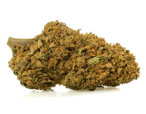 Close-up of an CALIFORNIA HAZE cbd bud with prominent trichomes and natural texture