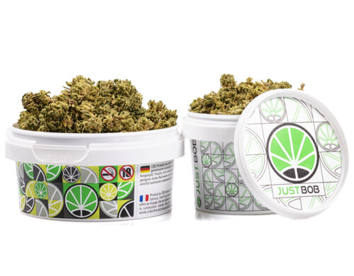 Kalifornska Haze CBD w bialym pudelku z logo JustBob