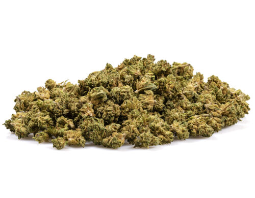 Male paki kwiatu Kalifornska Haze CBD, gotowe do uzycia