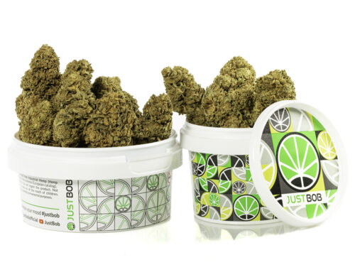 Puszka z kwiatami Kalifornska Haze CBD, gotowymi do uzycia