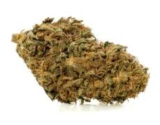 sweet berry cbd kwiat - szczegolowe ujecie szczegolowy widok kwiatu cbd sweet berry z wyraznymi trichomami i naturalna tekstura