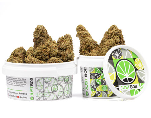 kwiaty cbd do si dos w bialym pojemniku z kolorowym designem