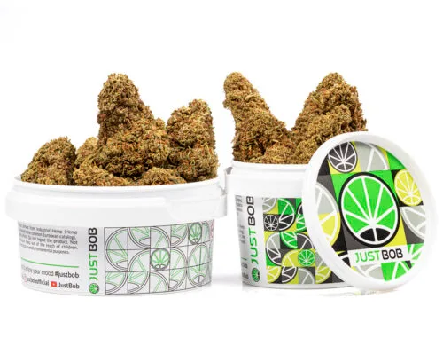 kwiaty cbd do si dos w bialym pojemniku z kolorowym designem