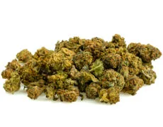 mix malych kwiatow cbd - szczegolowe ujecie mieszanka malych kwiatow cbd z roznymi odcieniami zieleni i brazu