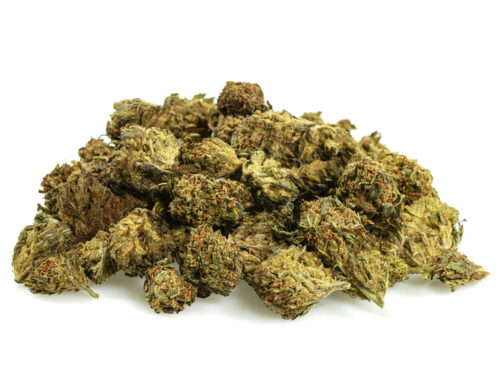 male paki kwiatu gg4 cbd boost, gotowe do uzycia