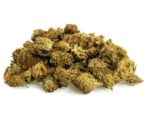 male paki kwiatu gg4 cbd boost, gotowe do uzycia