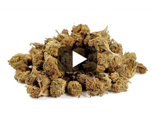 probka wideo malych pakow gg4 cbd boost