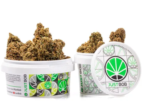 puszka z malymi kwiatami gg4 cbd boost, gotowymi do uzycia