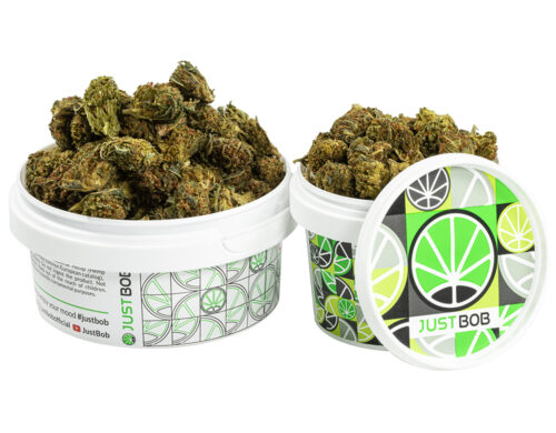 puszka z kwiatami gg4 cbd boost, gotowymi do uzycia