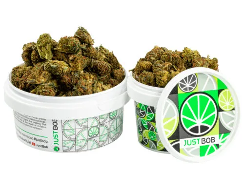 puszka z kwiatami gg4 cbd boost, gotowymi do uzycia