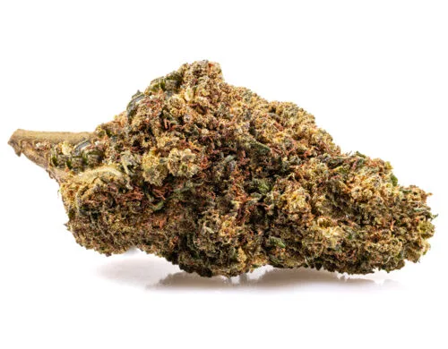 szczegolowy widok kwiatu gg4 cbd boost z naturalna tekstura i wyraznymi trichomami