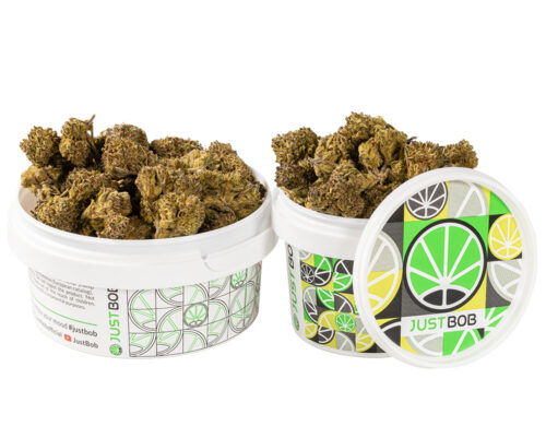 puszka z kwiatami hq cbd boost, gotowymi do uzycia