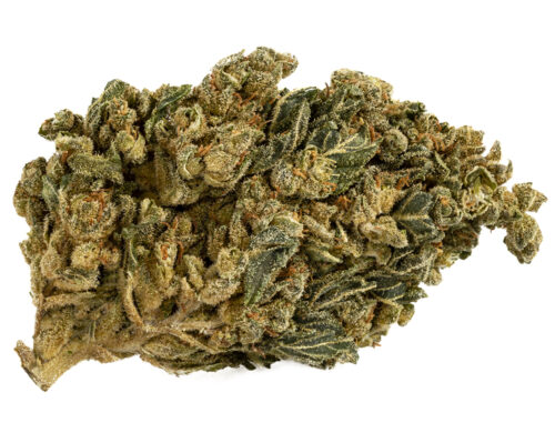 szczegolowy widok kwiatu hq cbd boost z naturalna tekstura i wyraznymi trichomami
