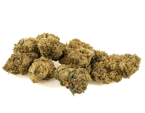 small cbd buds of amnesia cbd boost quality