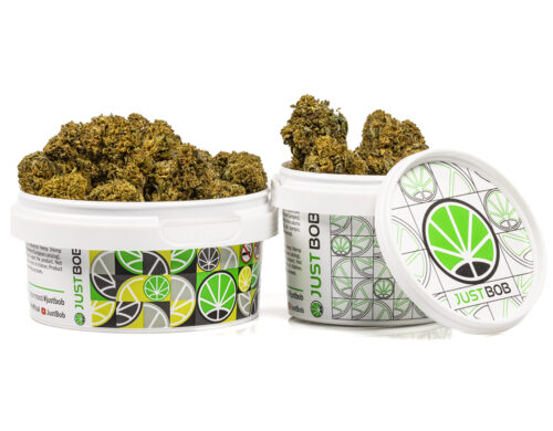 tin with flowers of amnesia cbd boost weed