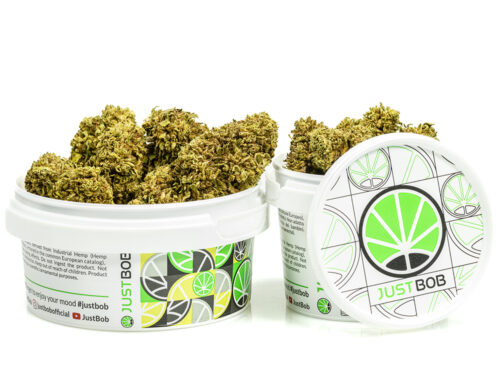 kwiaty cbd gorilla glue w bialym pojemniku z kolorowym designem