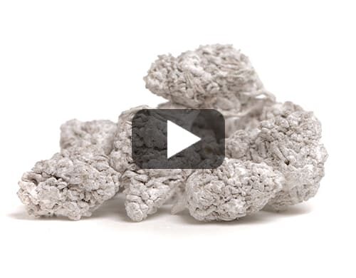 probka wideo kwiatu cbd do legalnego uzytku