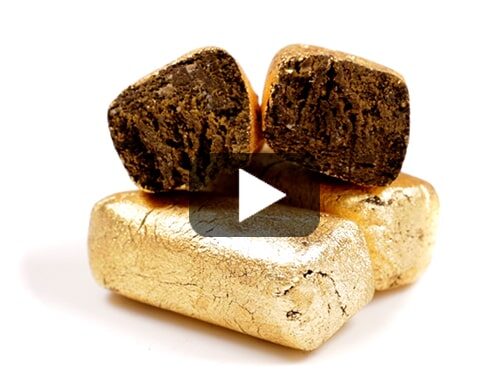 Afghan Gold Hashish Przekroj