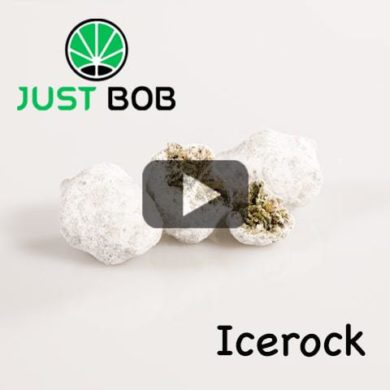 Icerock – Konopie light z certyfikatem JustBob