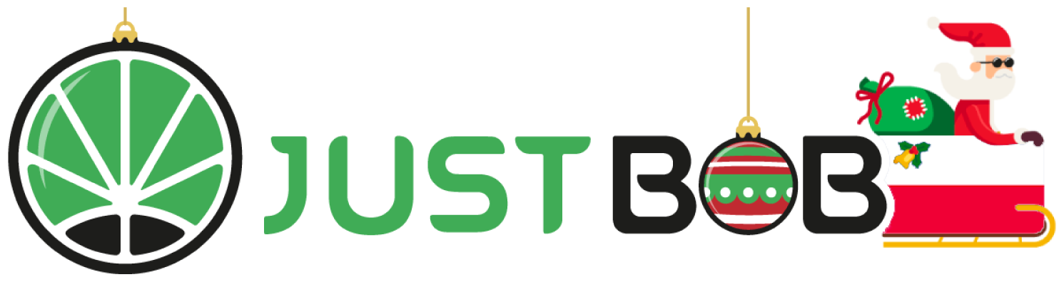Logo_swiateczny_Justbob_z_bombkami_i_Mikołajem_na_saniach