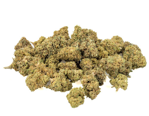 Male paki kwiatu Bubblegum CBD, gotowe do uzycia