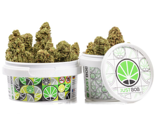 Puszka z kwiatami Bubblegum CBD, gotowymi do uzycia