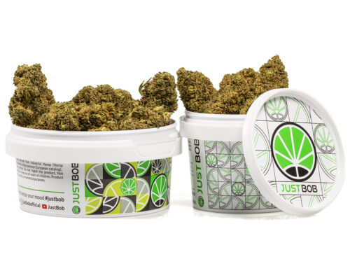 puszka z kwiatami master kush cbd weed, gotowymi do uzycia