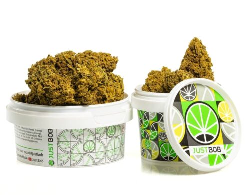 cbd kwiaty skunk h4 w bialym pojemniku dla zachowania swiezosci