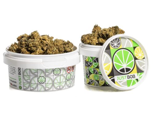 kwiaty cbd blueberry small buds z ekologicznej i zrownowazonej uprawy