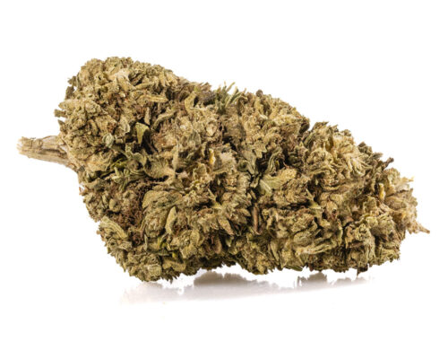 szczegolowy widok kwiatu outdoor mix cbd z wyraznymi trichomami i naturalna tekstura