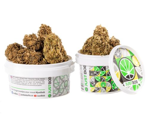 outdoor mix cbd kwiaty w bialym pojemniku z kolorowym designem