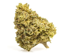 szczegolowy widok kwiatu zkittles cbd bogatego w cbg z ekologicznej i zrownowazonej uprawy 