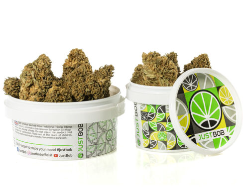 wysokiej jakosci kwiaty lemon cheese cbd w zamknietym bialym pudelku dla zachowania swiezosci