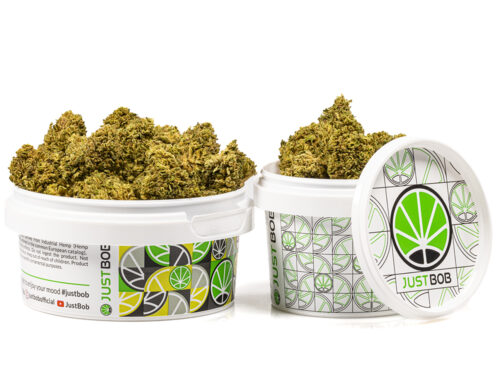 wysokiej jakosci kwiaty melon cheese cbd w zamknietym bialym pudelku dla zachowania swiezosci