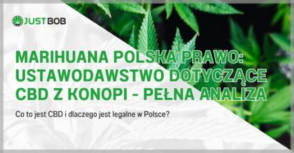Marihuana Polska Prawo: Ustawodawstwo dotyczące CBD z konopi - pełna analiza