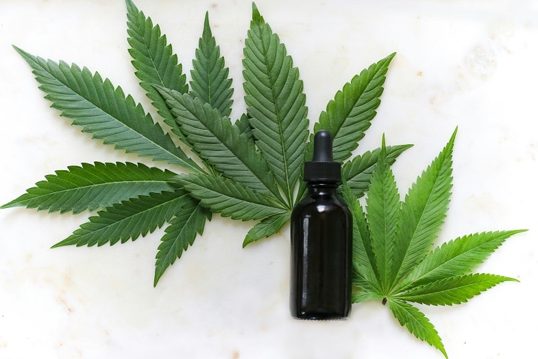 Czym jest olej CBD?