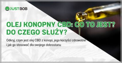 Olej konopny CBD: Co to jest?