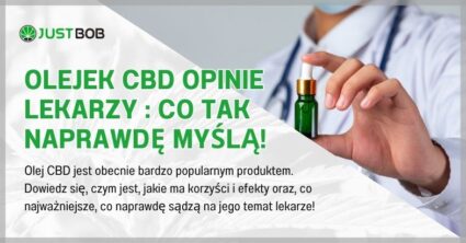 Olejek cbd opinie lekarzy : Co tak naprawdę myślą!