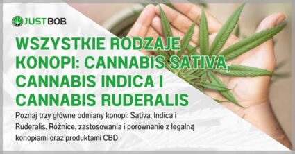 Wszystkie rodzaje konopi: Cannabis Sativa, Cannabis Indica i Cannabis Ruderalis