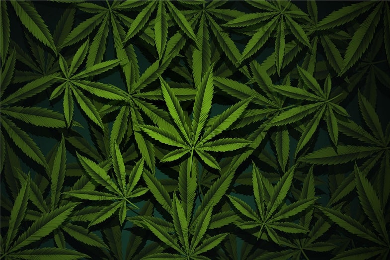 Legalne produkty CBD na rynku 