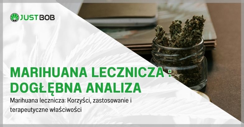 Marihuana lecznicza : dogłębna analiza