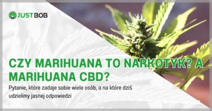 Czy marihuana to narkotyk? A marihuana CBD?