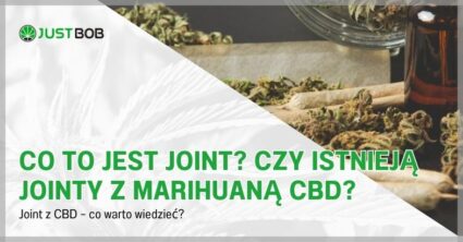 Co to jest joint? Czy istnieją jointy z marihuaną CBD?