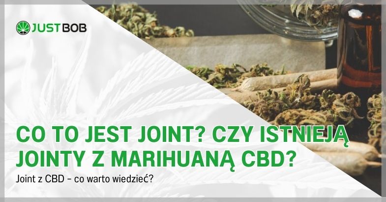 Co to jest joint? Czy istnieją jointy z marihuaną CBD?