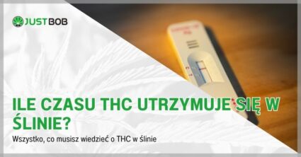 Ile czasu THC utrzymuje się w ślinie?