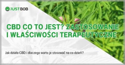 Cbd co to jest? Zastosowanie i właściwości terapeutyczne